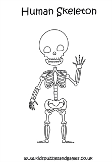 Human skeleton bones louring page