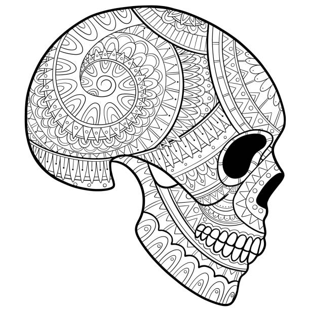 Skull coloring pages stock illustrations royalty