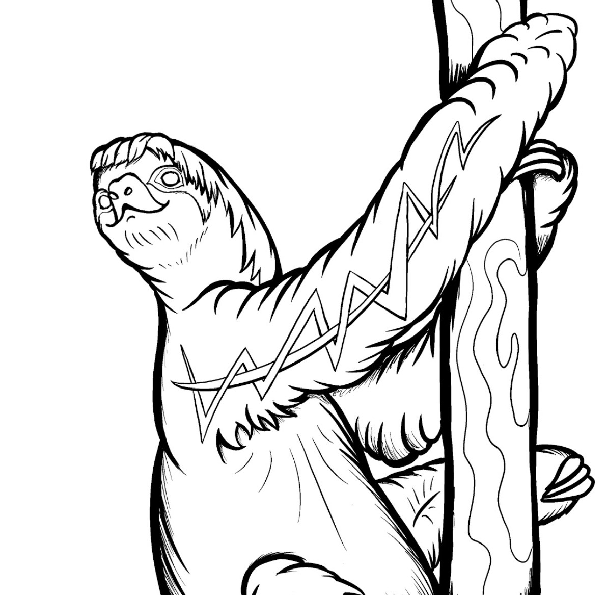 The sloth coloring ebook media