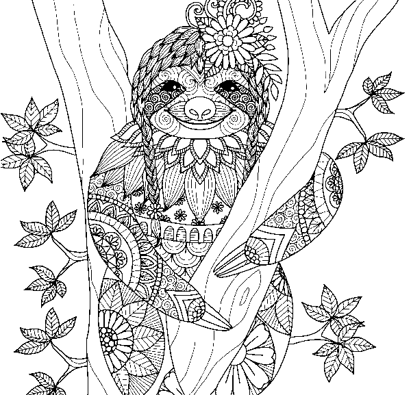 Sloth coloring pages printable for free download