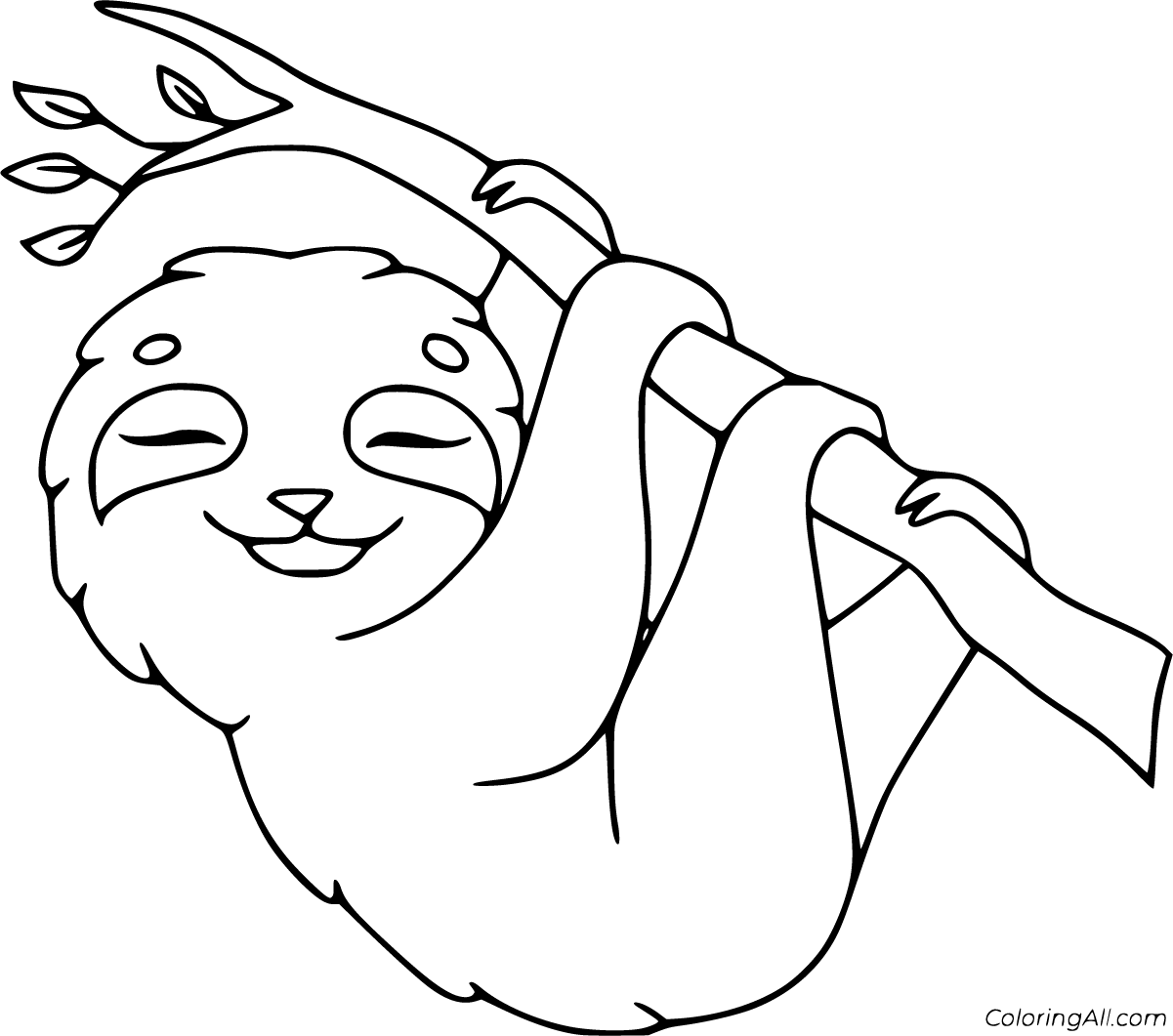 Sloth coloring pages