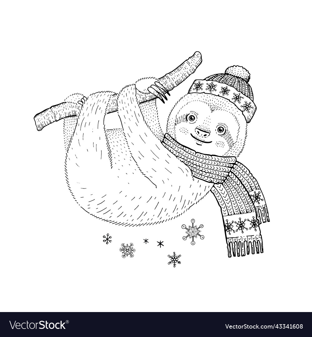 Christmas sloth coloring book funny line animal vector image