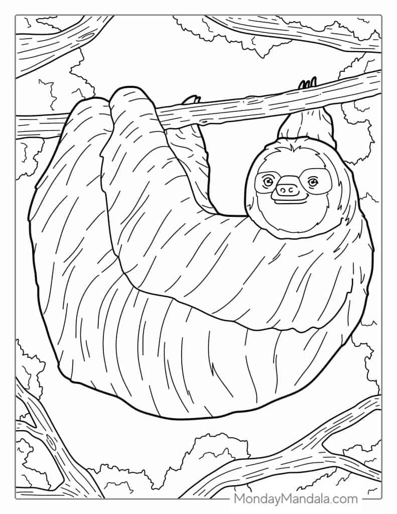 Sloth coloring pages free pdf printables