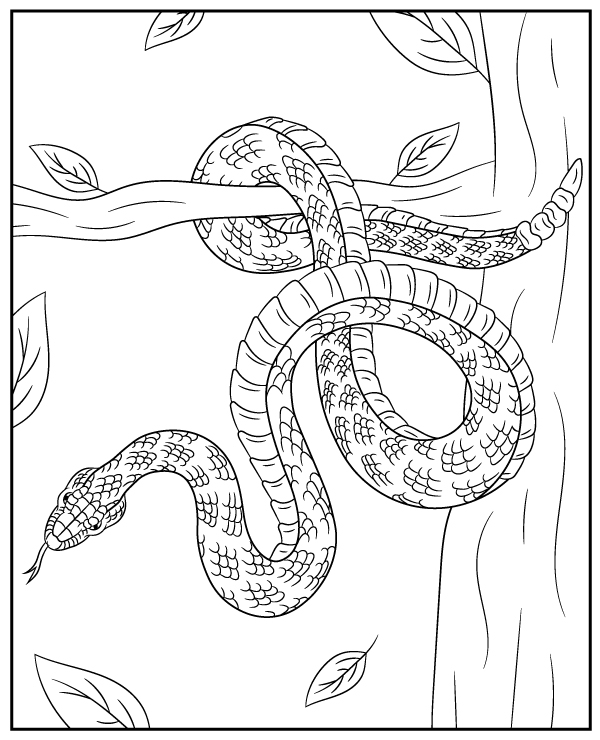 Rattlesnake coloring page snake