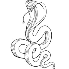 Top free printable snake coloring pages online