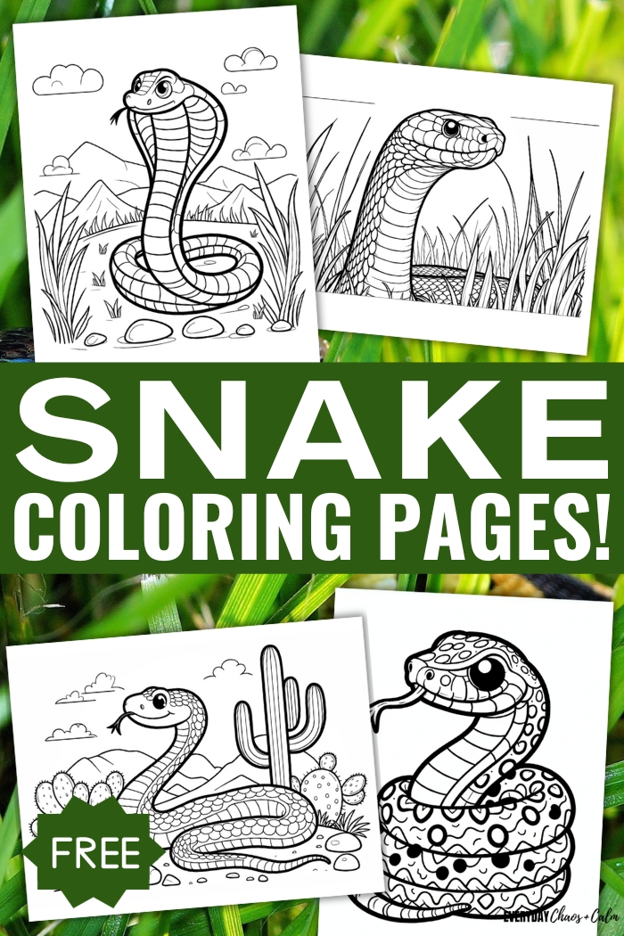 Free printable snake coloring pages