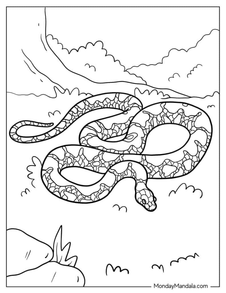 Snake coloring pages free pdf printables