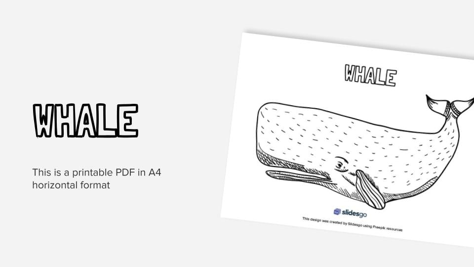 Whale printable coloring worksheet