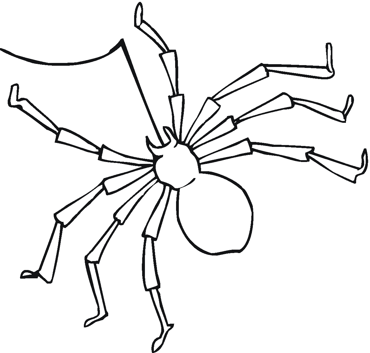 Free printable spider coloring pages for kids