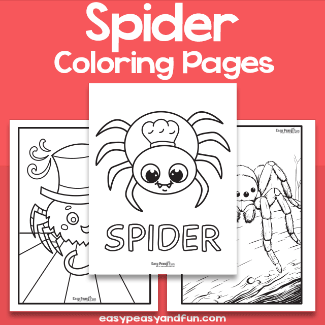 Spider coloring pages â easy peasy and fun hip