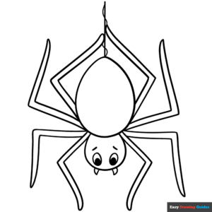 Spider coloring page easy drawing guides