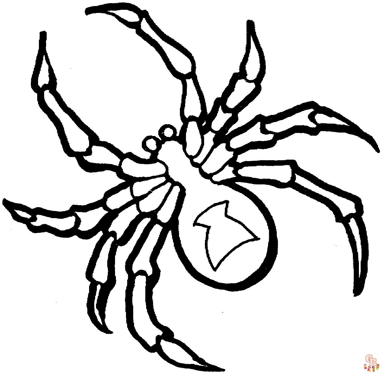 Unleash your childs creativity with spider coloring pages