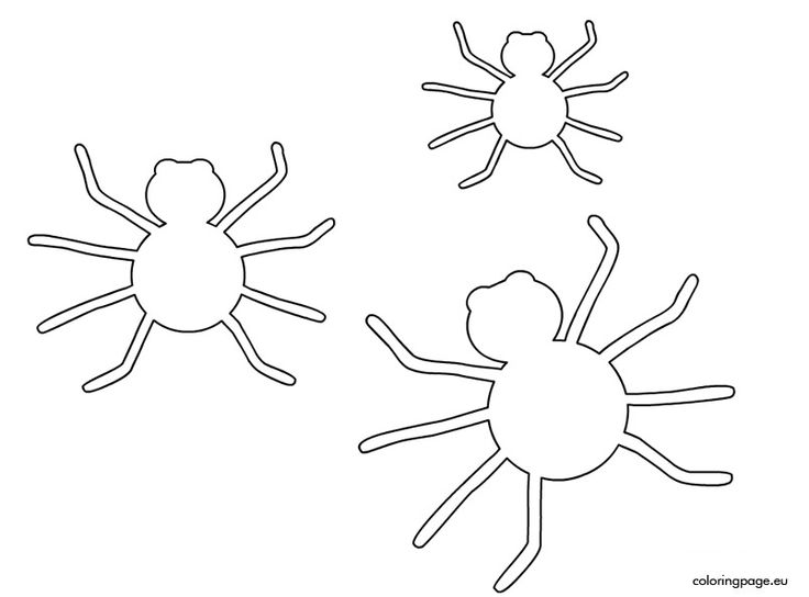 Halloween spider template spider template halloween spider halloween projects