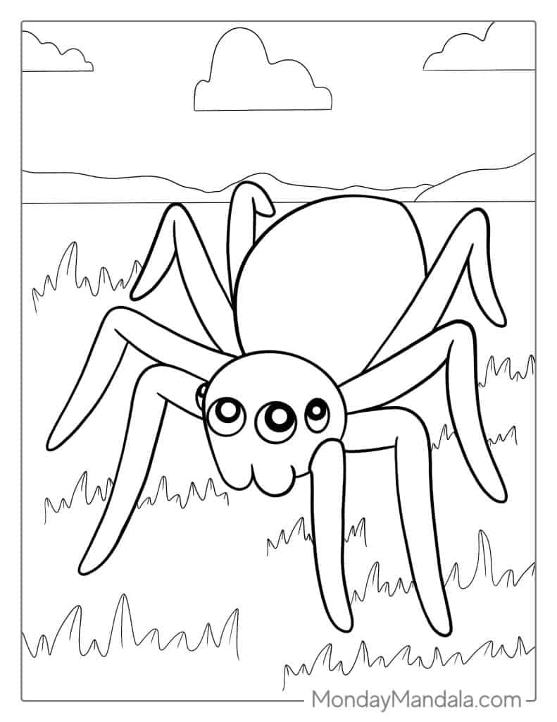 Spider coloring pages free pdf printables