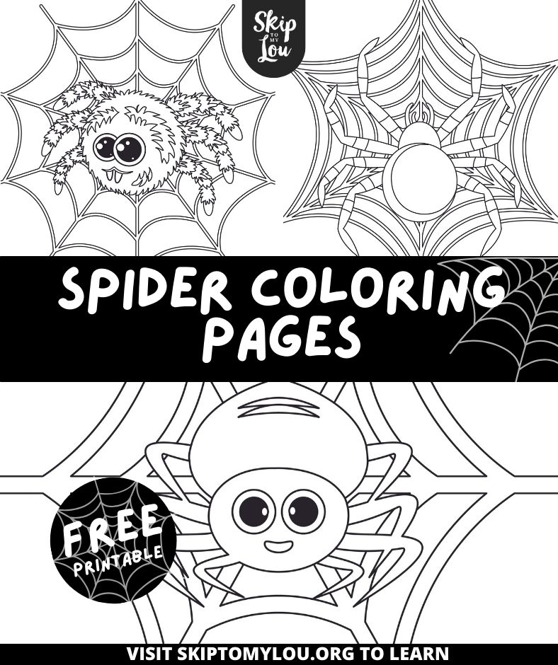 Spider coloring pages free printable pdf sheets skip to my lou