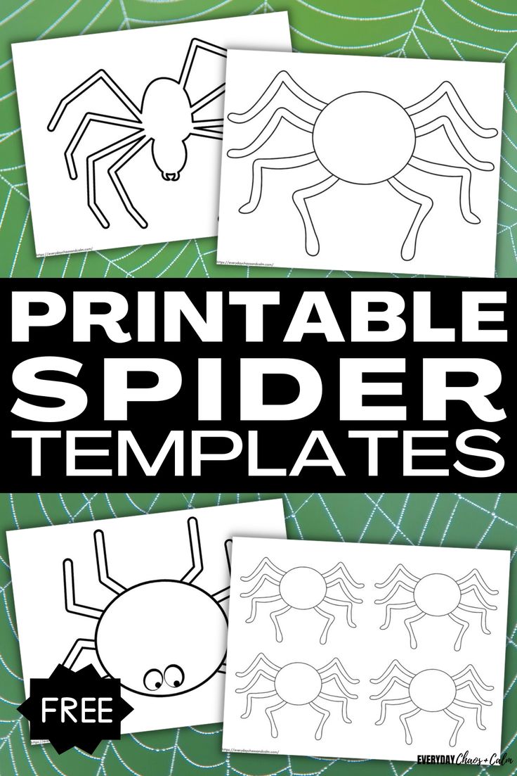 Free printable spider template and outlines in spider template templates printable free templates