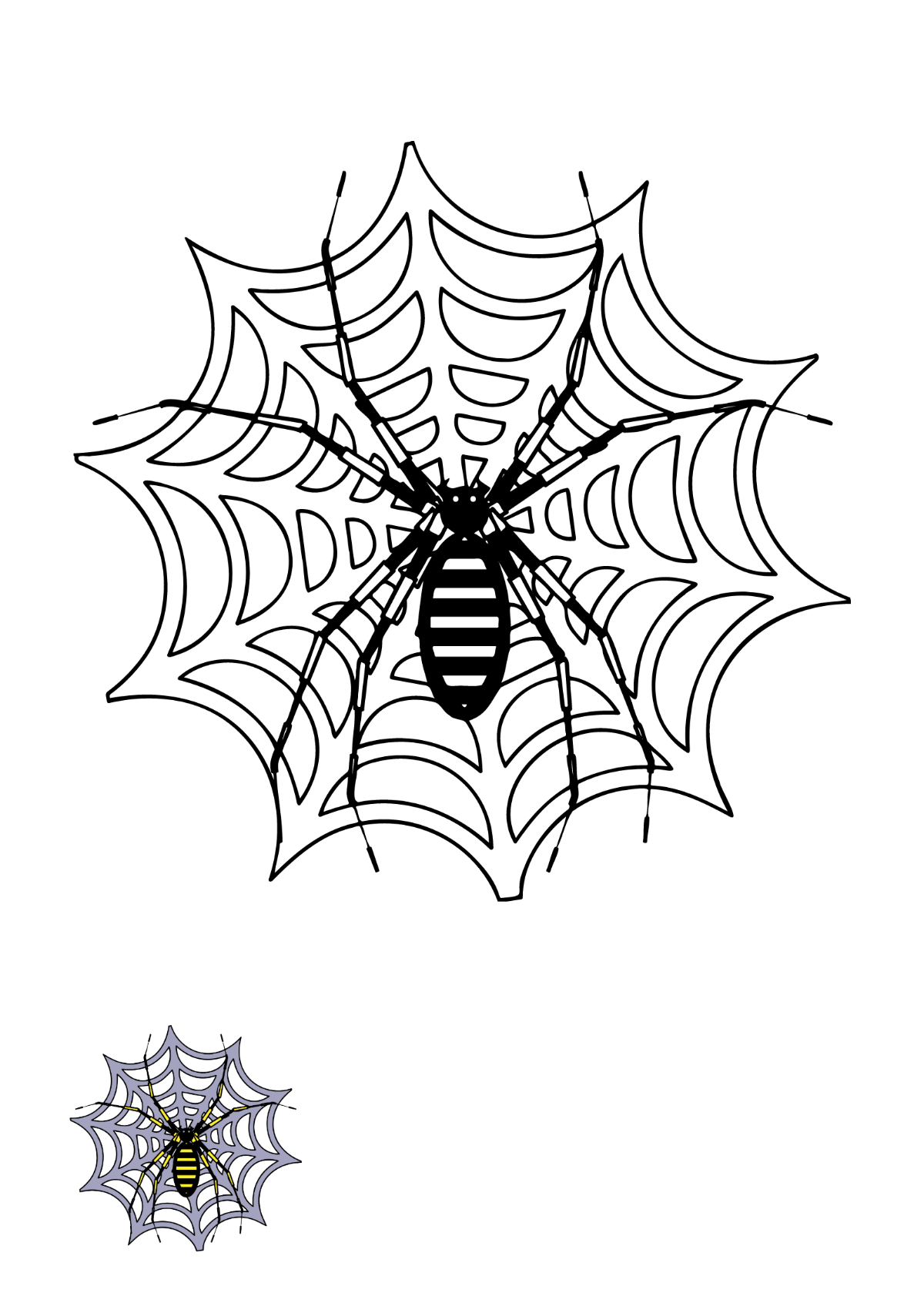 Free spider s examples