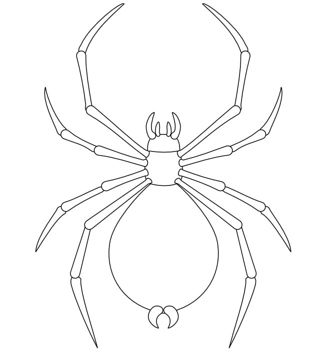 Spider shape