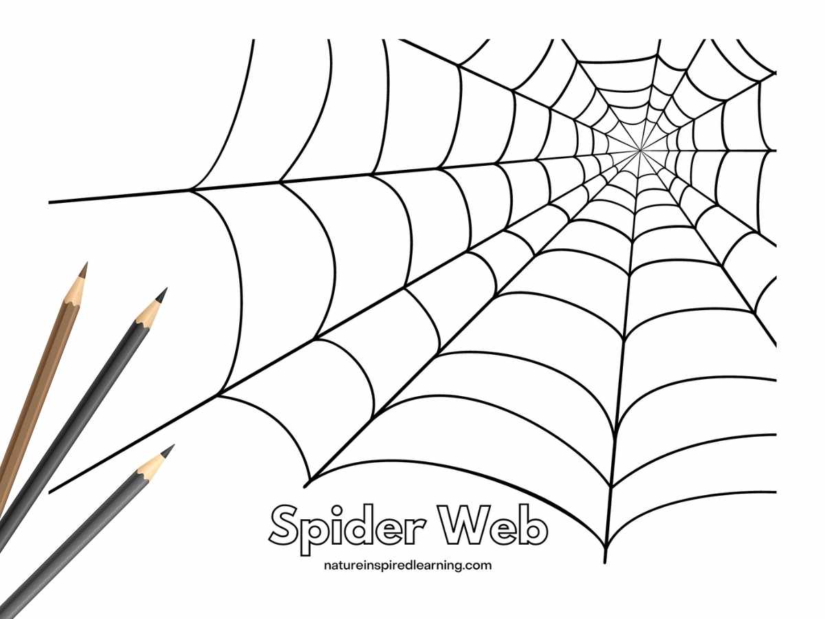 Spider web coloring pages