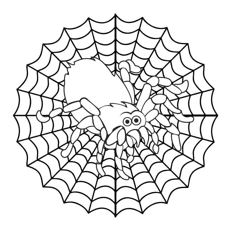 Spider on the web coloring page