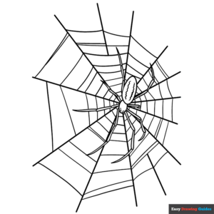 Spider web with spider coloring page easy drawing guides