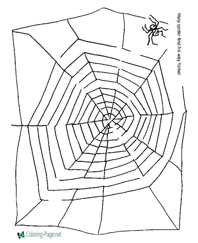 Printable mazes spider maze