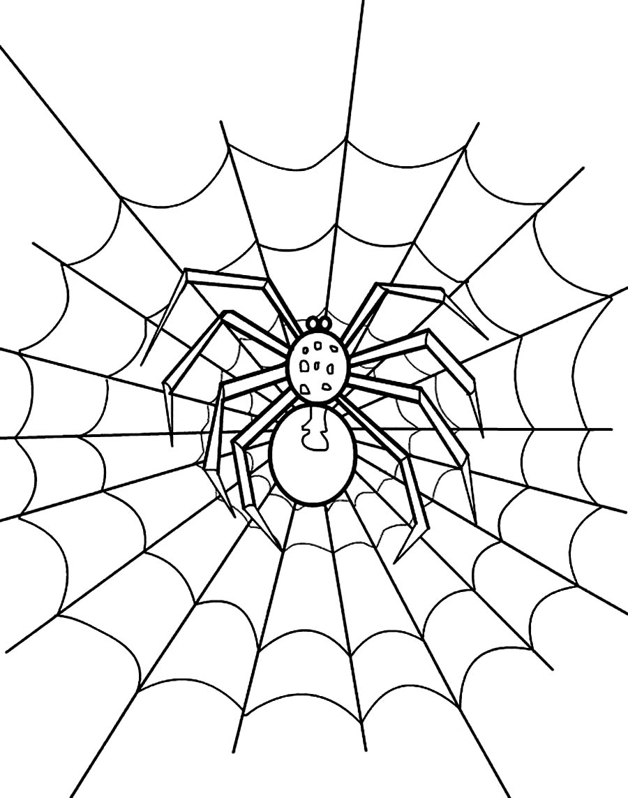 Spider web coloring page