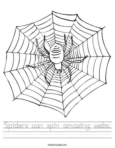 Spiders can spin amazing webs worksheet