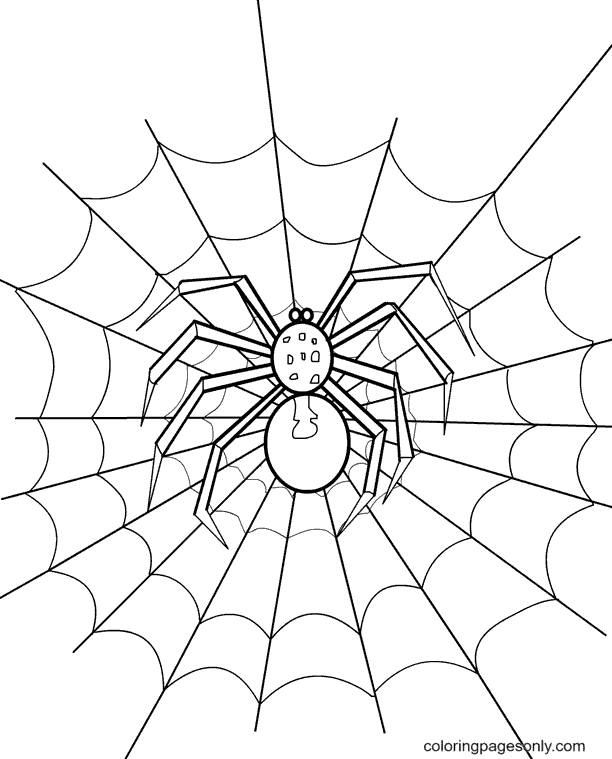 Halloween spider coloring pages printable for free download