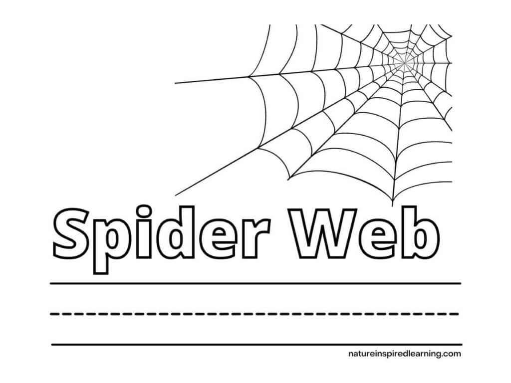 Spider web coloring pages