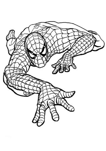 Spiderman coloring pages team colors