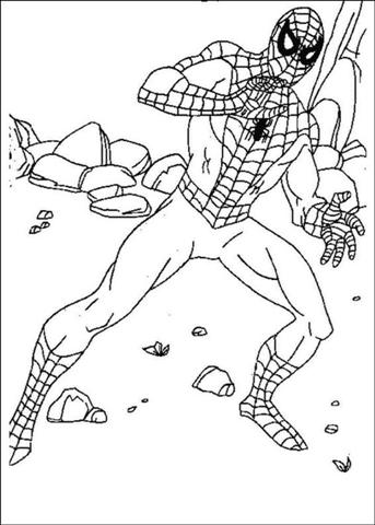 Spiderman coloring pages team colors