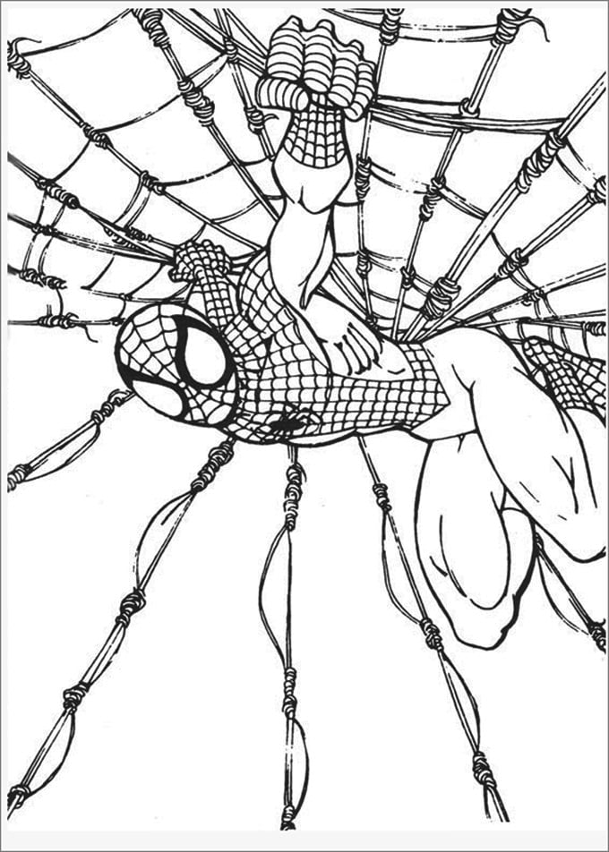 Spiderman colouring pages