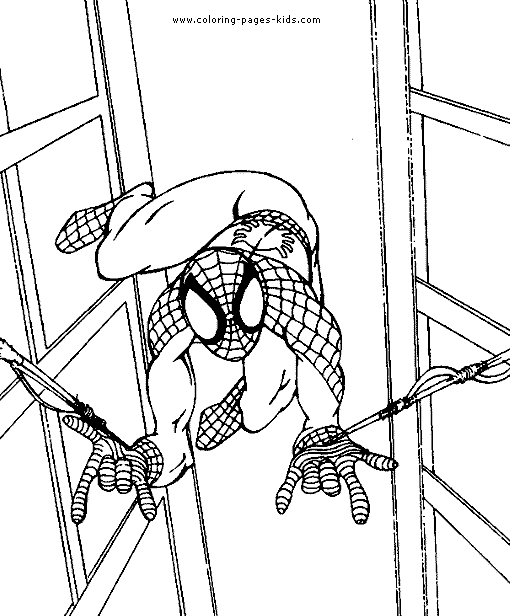 Spider