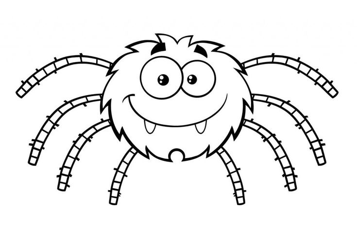 Free printable spider coloring pages for kids spider coloring page halloween coloring pages printable printable coloring pages