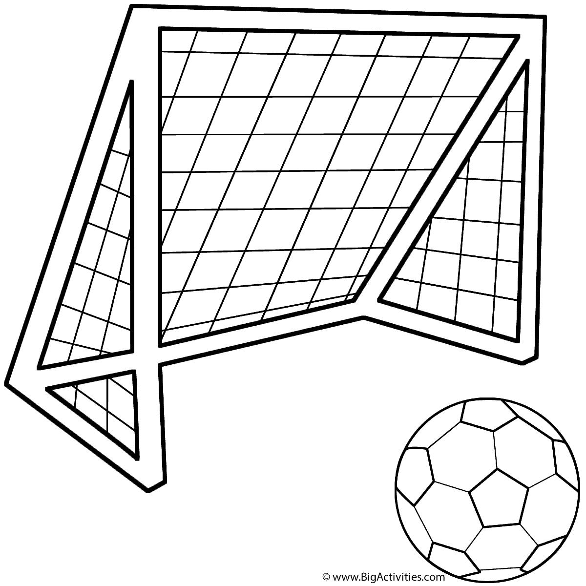 Soccer ball with soccer net