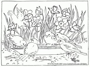 Free printable spring adult coloring pages