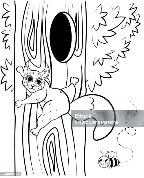 Printable coloring page outline of cute cartoon squirrel climbing on tree near the hollow vector image