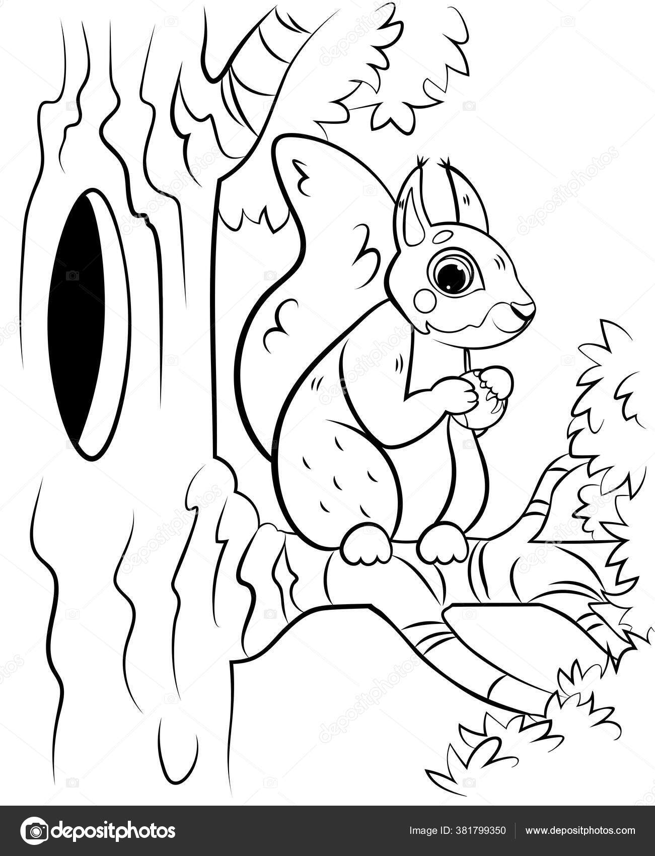 Printable coloring page outline cute cartoon squirrel tree hazelnut vector stock vector by elenaparshina