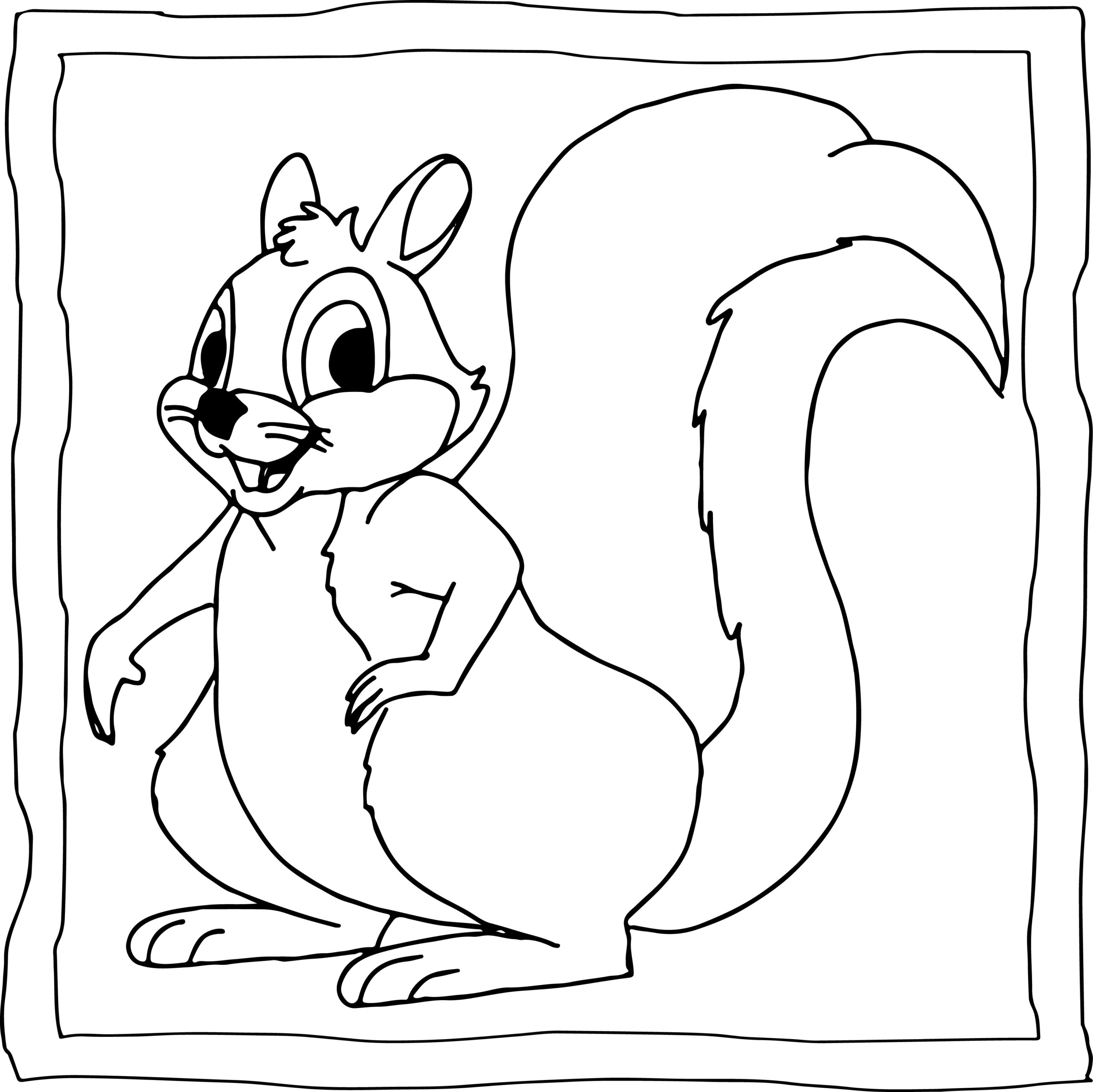 Squirrel coloring book easy and fun squirrels coloring pages for kids made by teachers