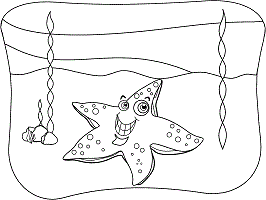 Star starfish or sea star coloring pages and printable activities