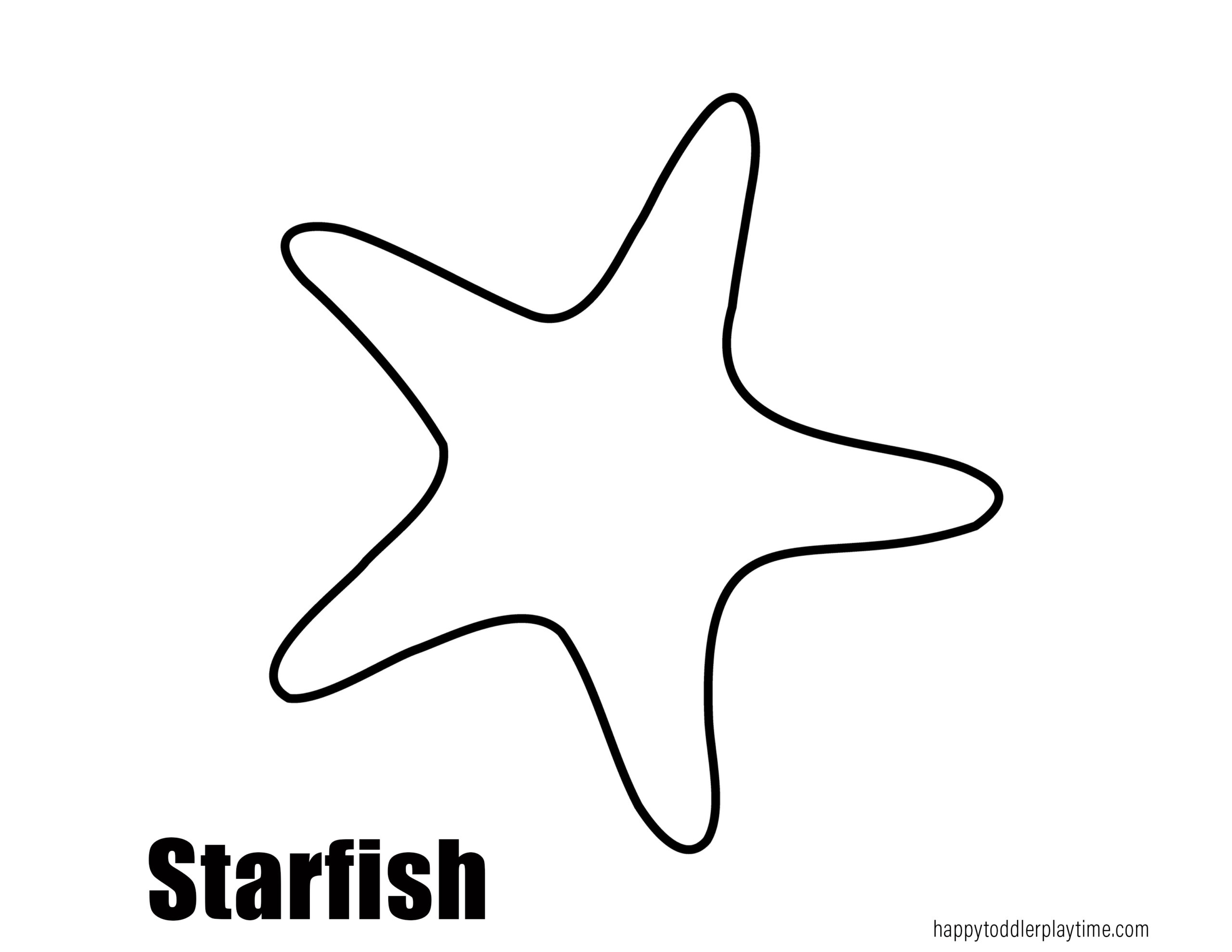 Painted eggshell starfish craft