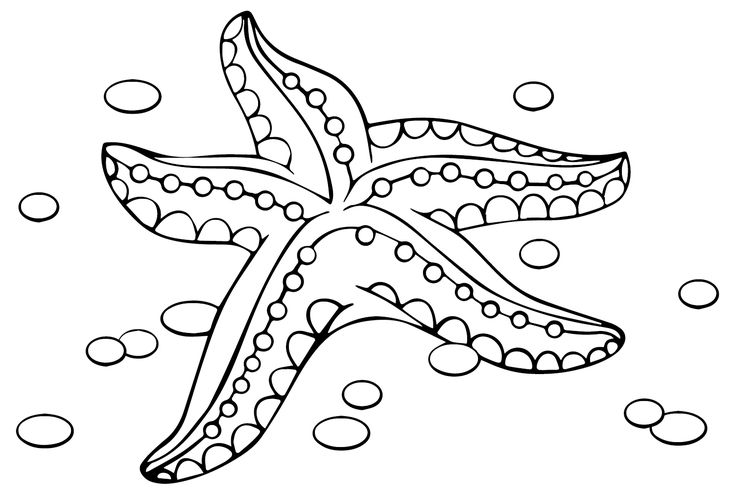 Starfish coloring pages