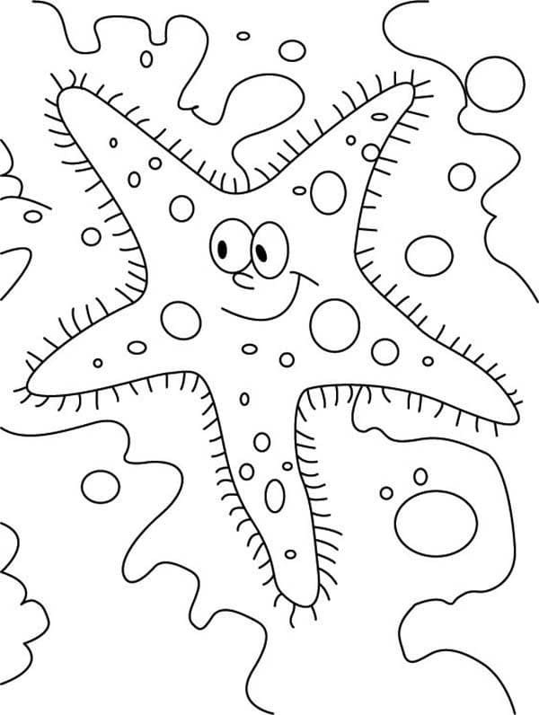 Starfish coloring pages printable for free download