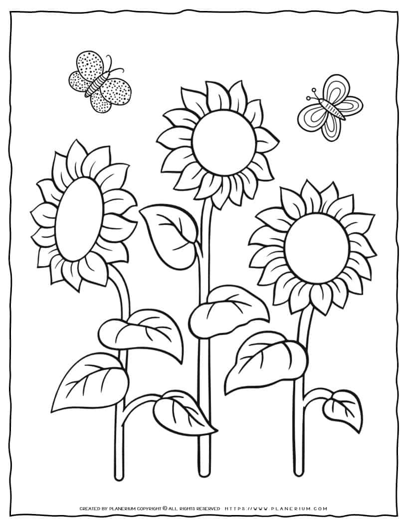 Free sunflower coloring page for kids summer printable with butterflies