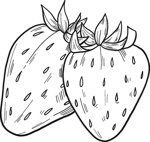 Strawberries coloring page free printable coloring pages