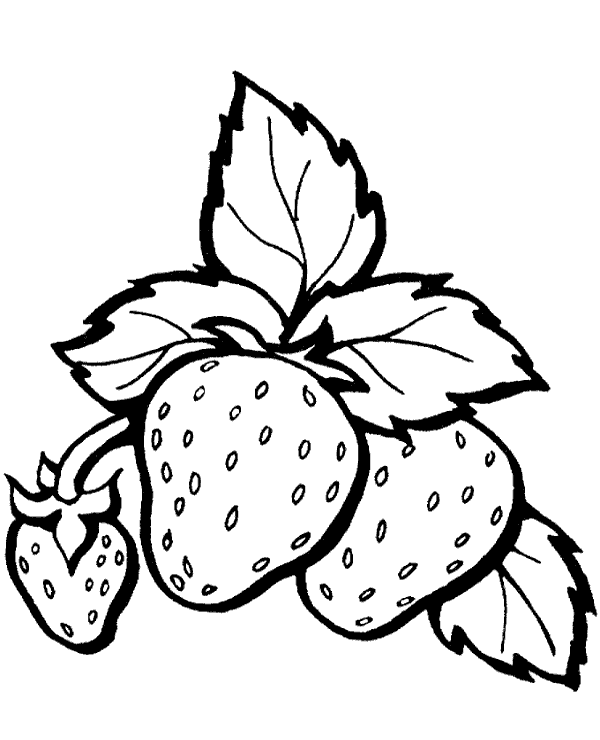 Big strawberries coloring sheet