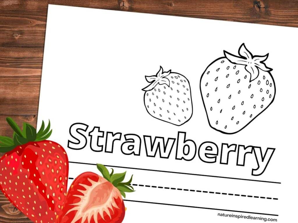 Strawberry coloring pages