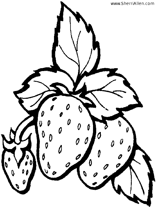 Free fruit coloring pages from