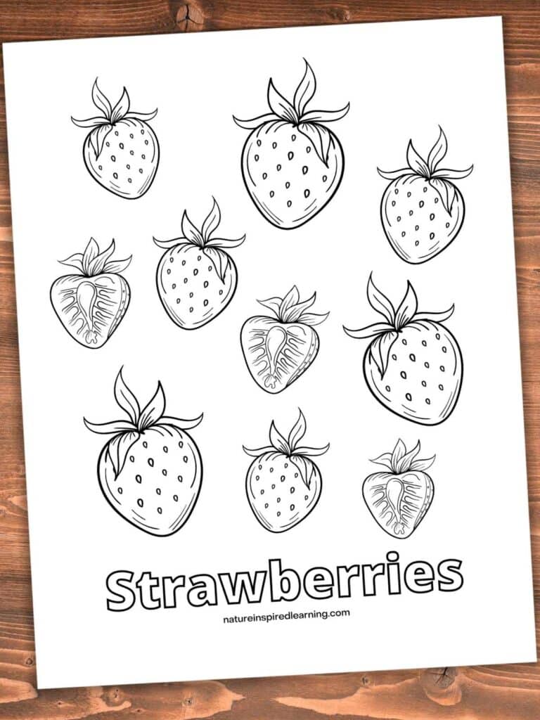 Strawberry coloring pages